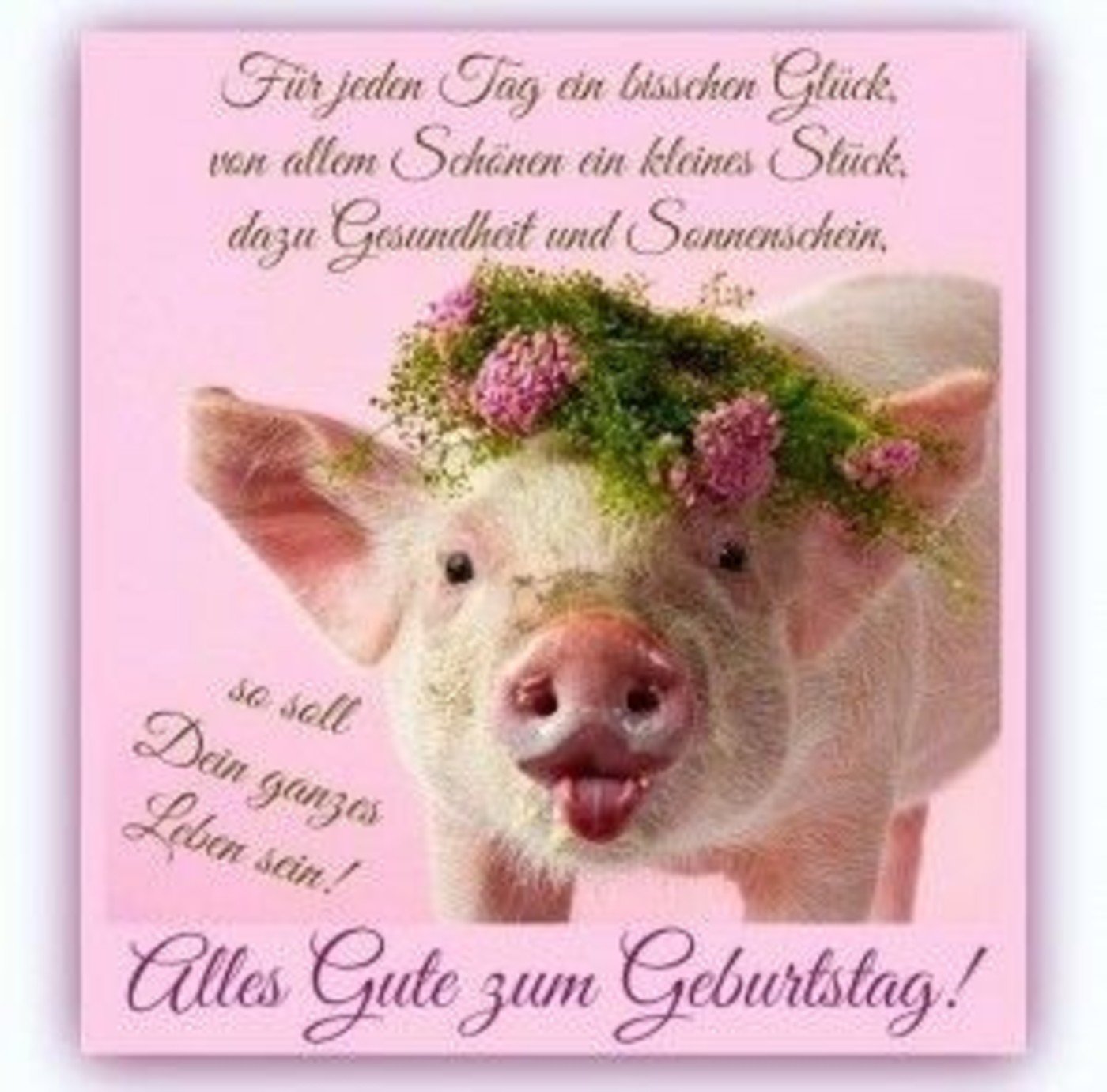 Alles Gute Zum Geburtstag Facebook (2)