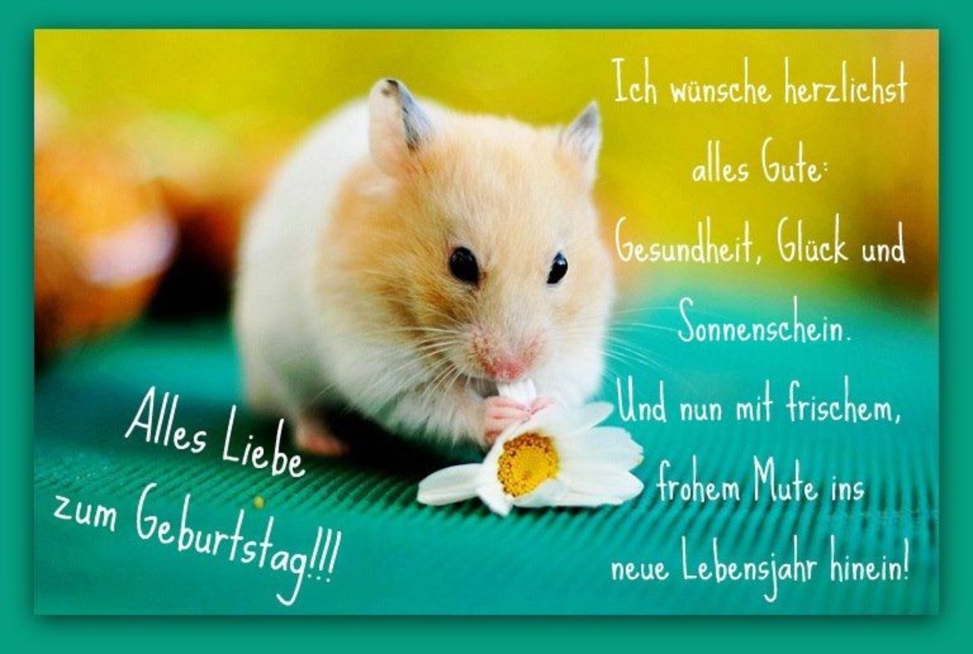 Alles Gute Zum Geburtstag sprüche (9)