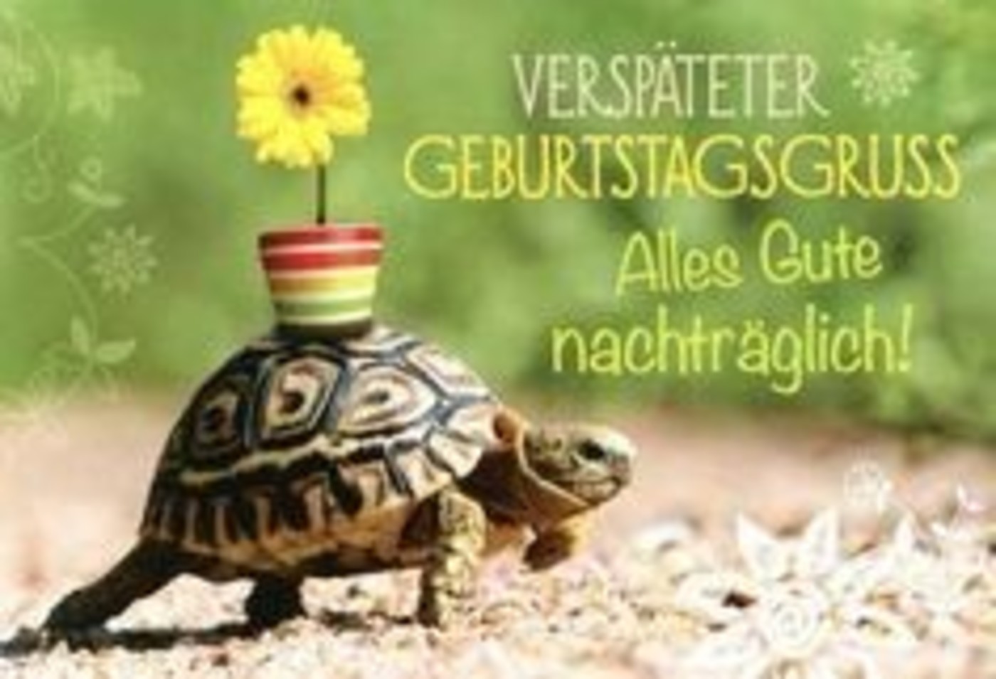 Alles Gute Zum Geburtstag verspätet (2)