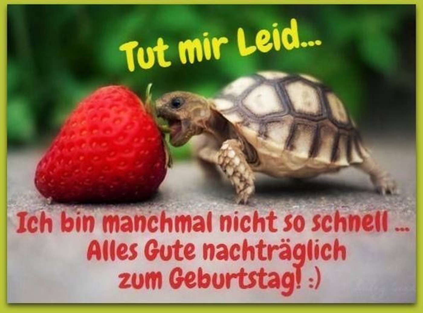 Alles Gute Zum Geburtstag verspätet