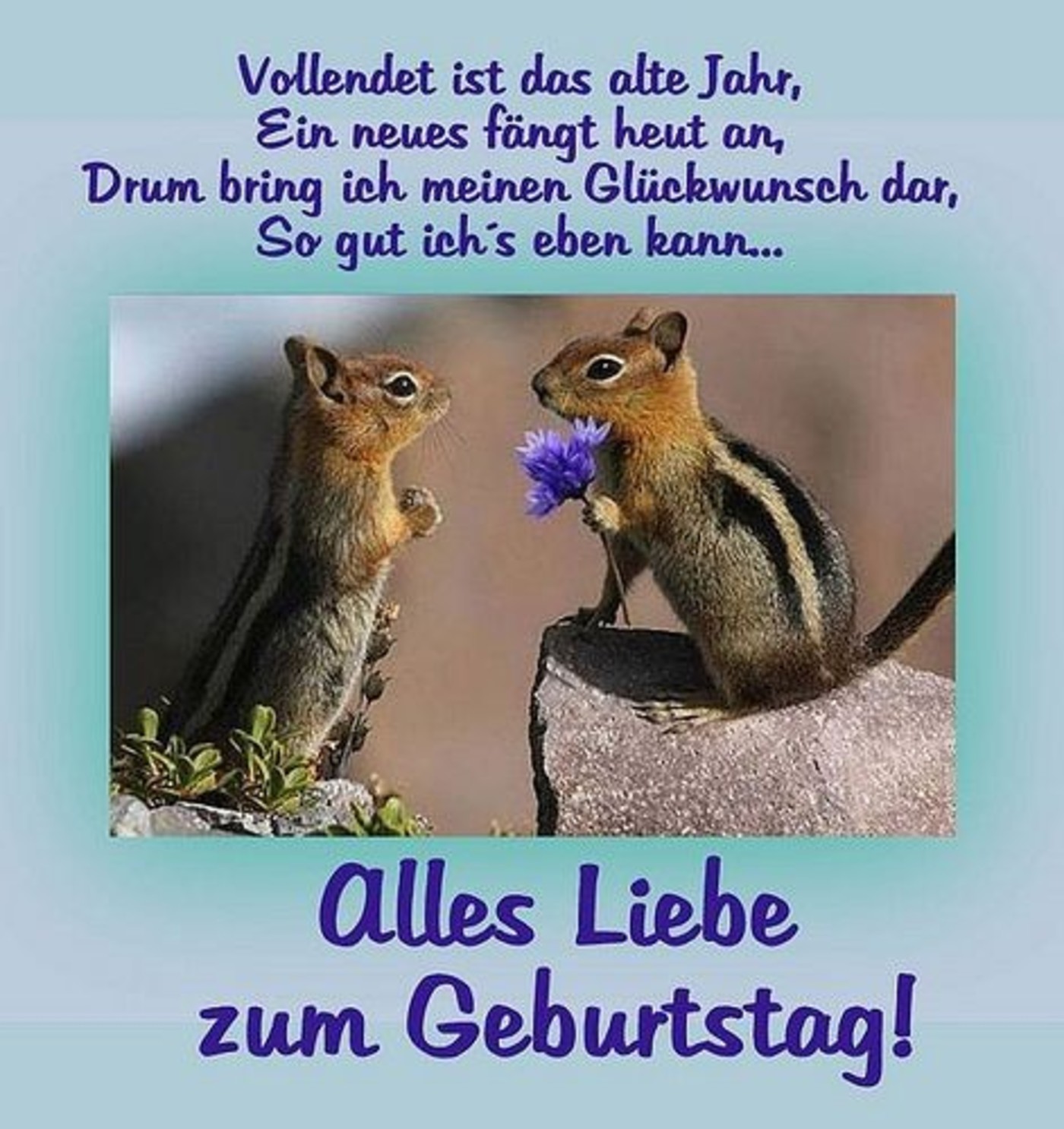 Alles Gute zum Geburtstag (10)