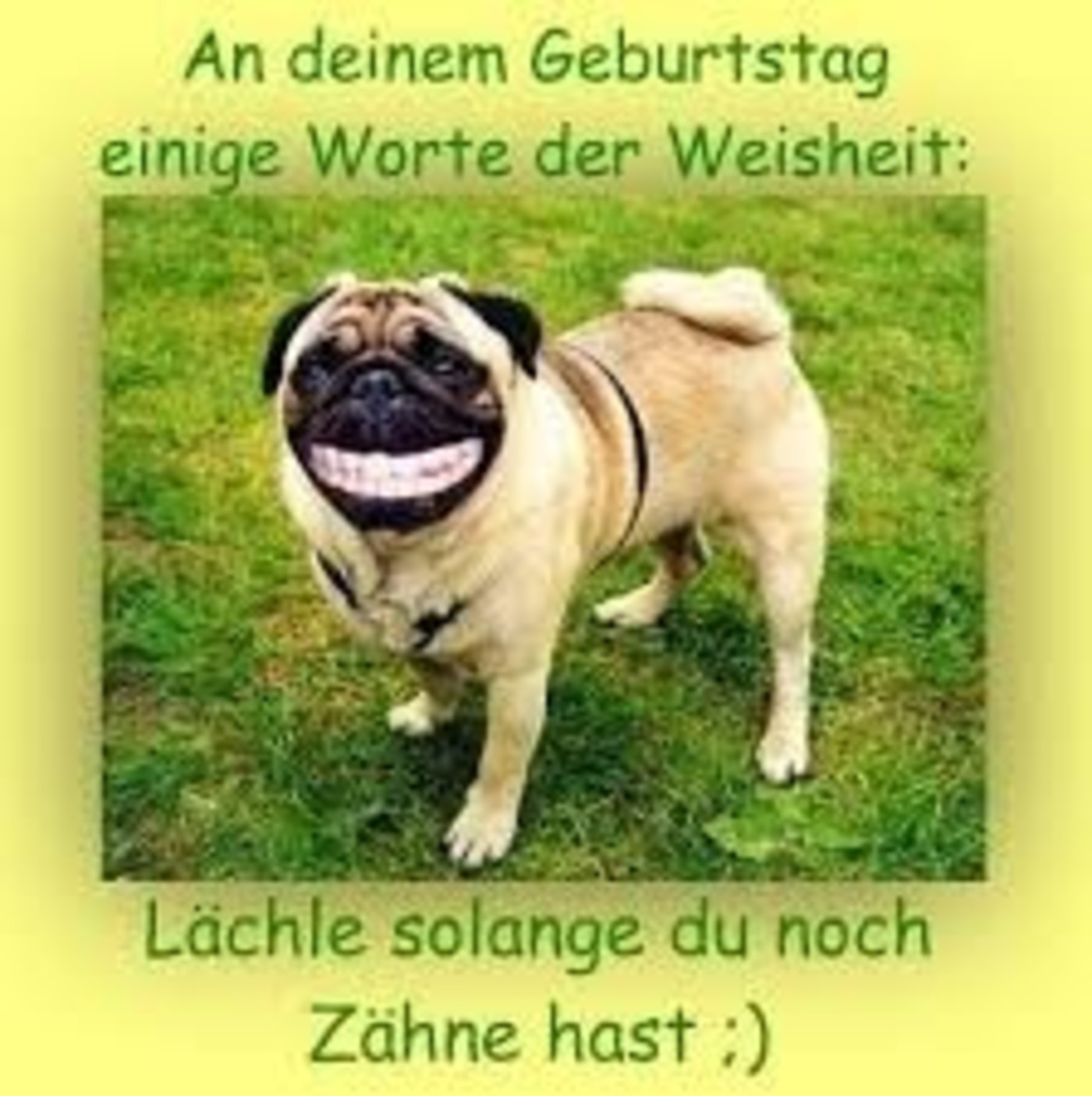 Alles Gute zum Geburtstag lustiges bilders