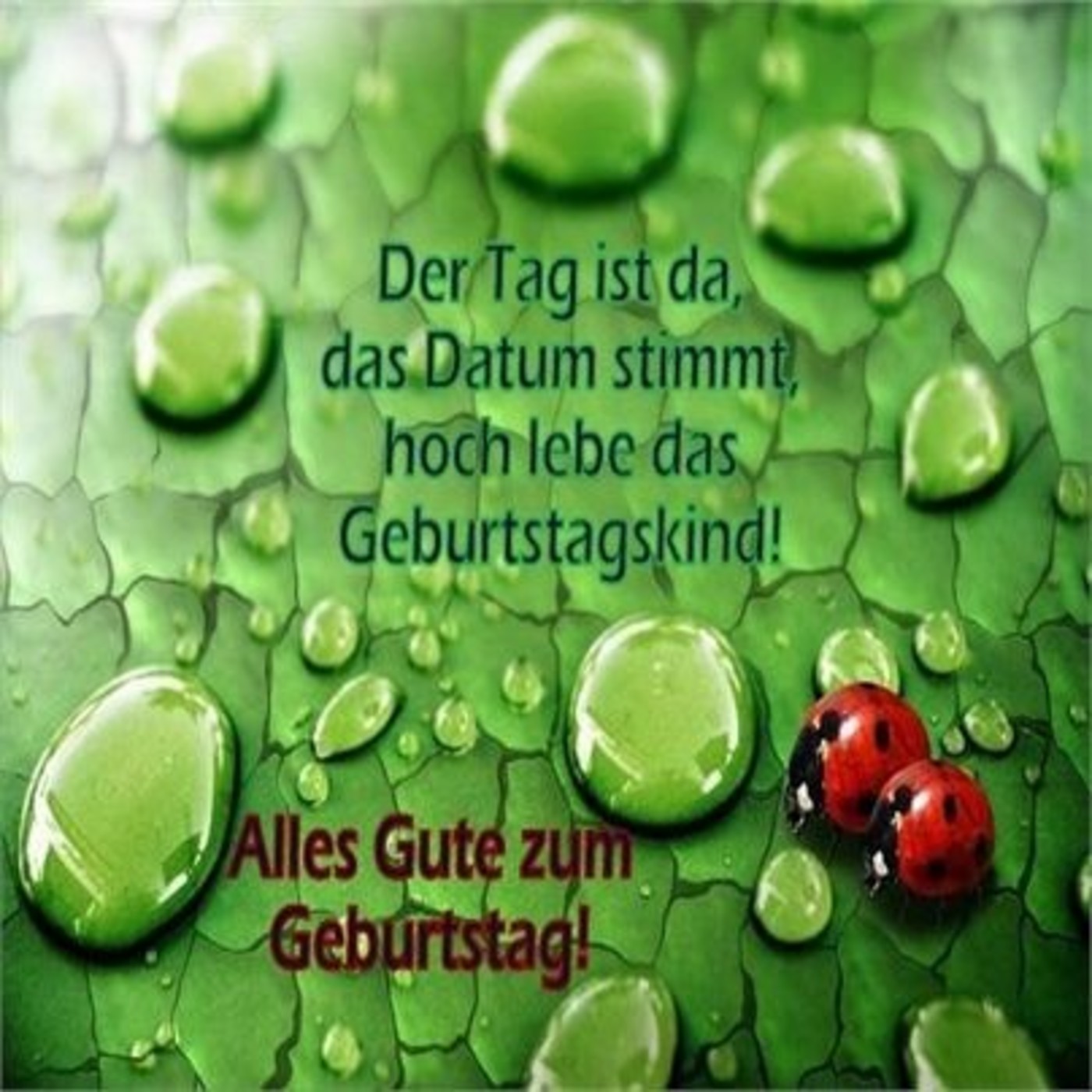 Alles Liebe zum Geburtstag (10)