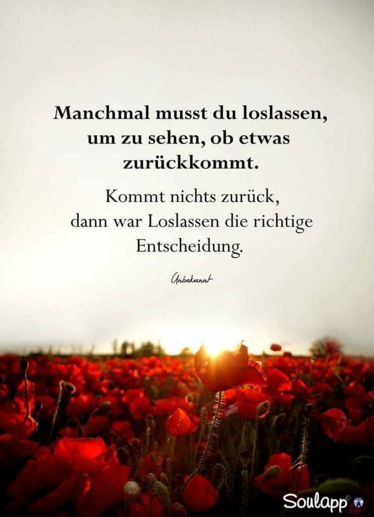 Bild kostenlos spruch 186