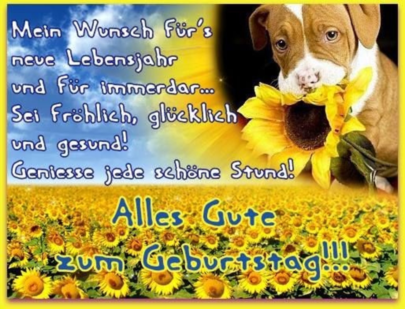 Bilder Alles Gute Zum Geburtstag (9)