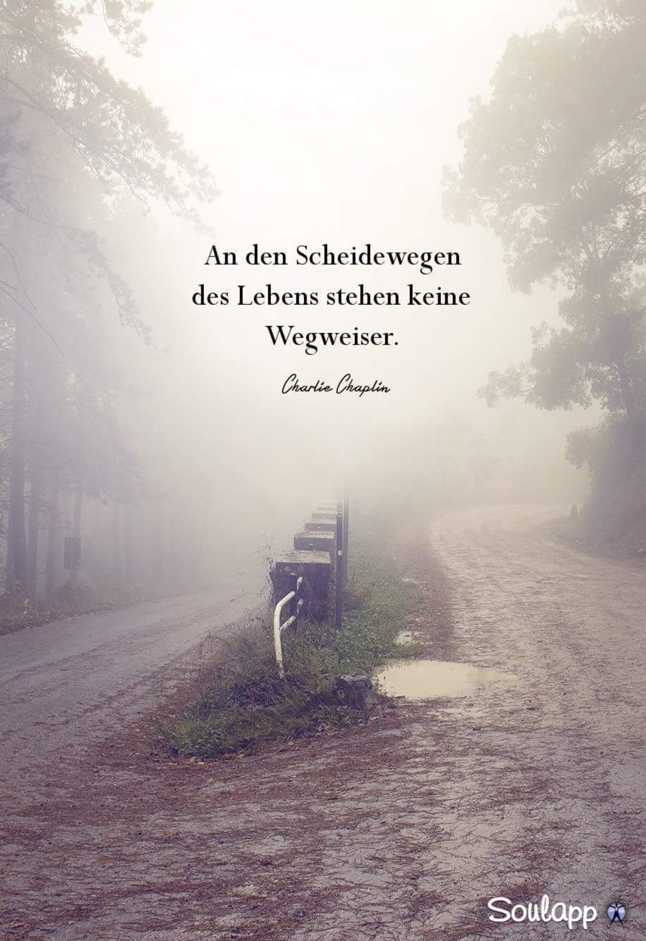 Bilder Sprüche für Gästebuch 287