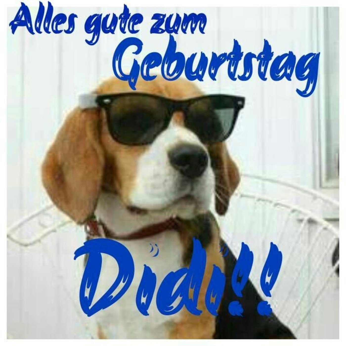 Didi Alles Gute zum Geburtstag