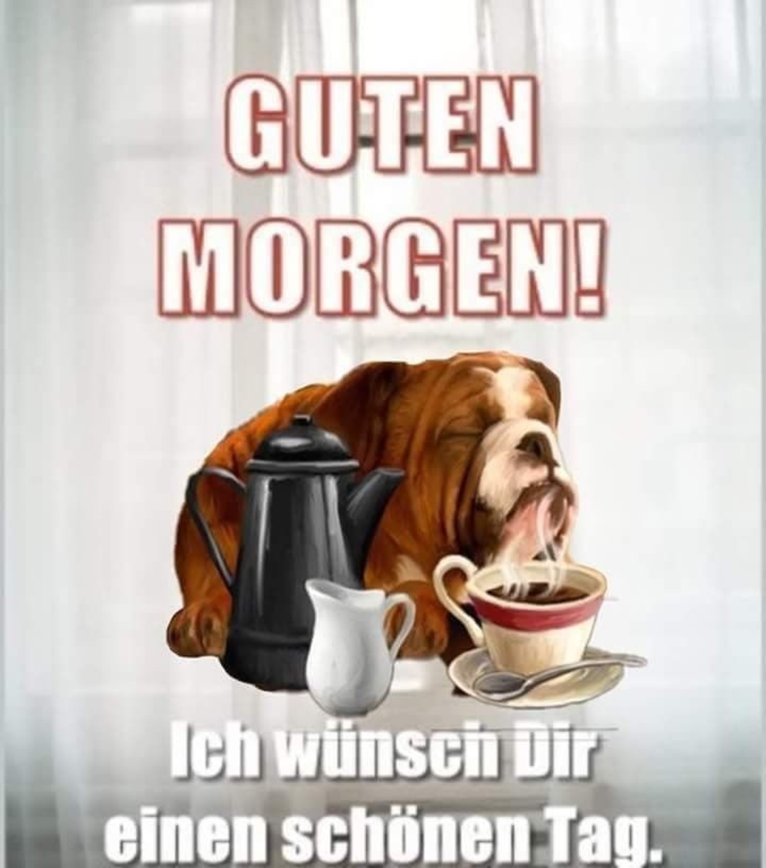 Einen wunderschönen guten Morgen 272