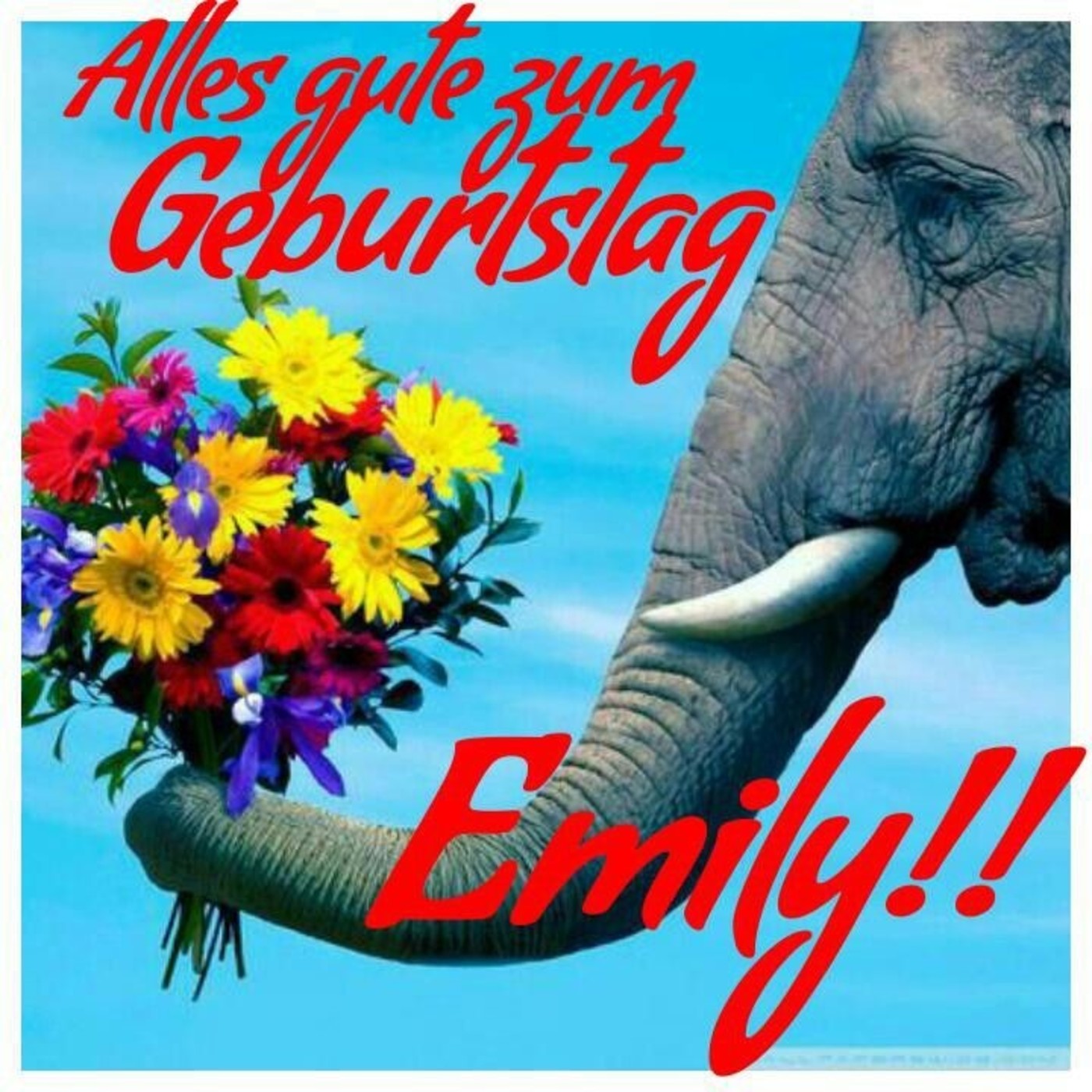 Emily Alles Gute zum Geburtstag (2)