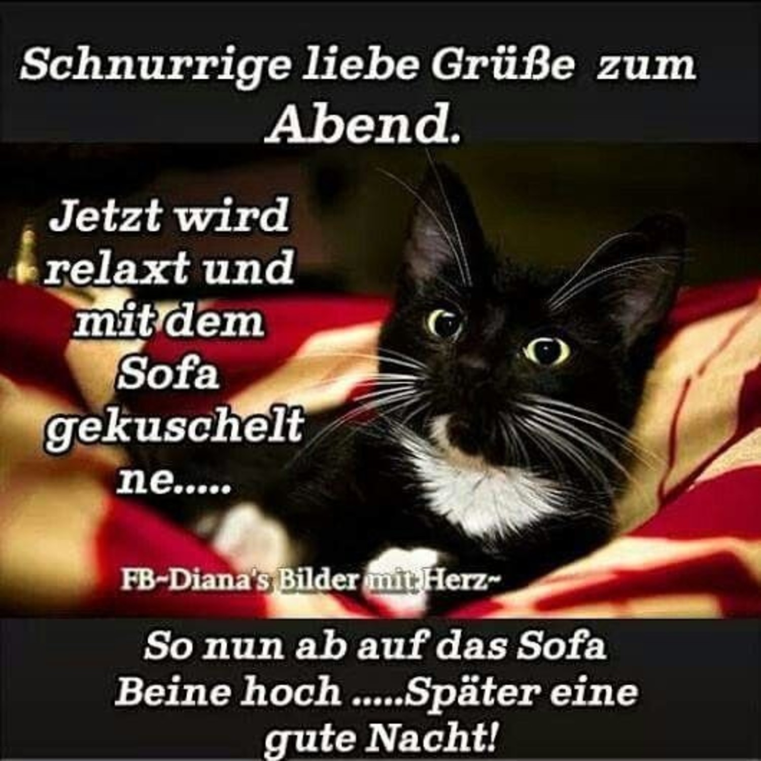 Gute Nacht WhatsApp 495