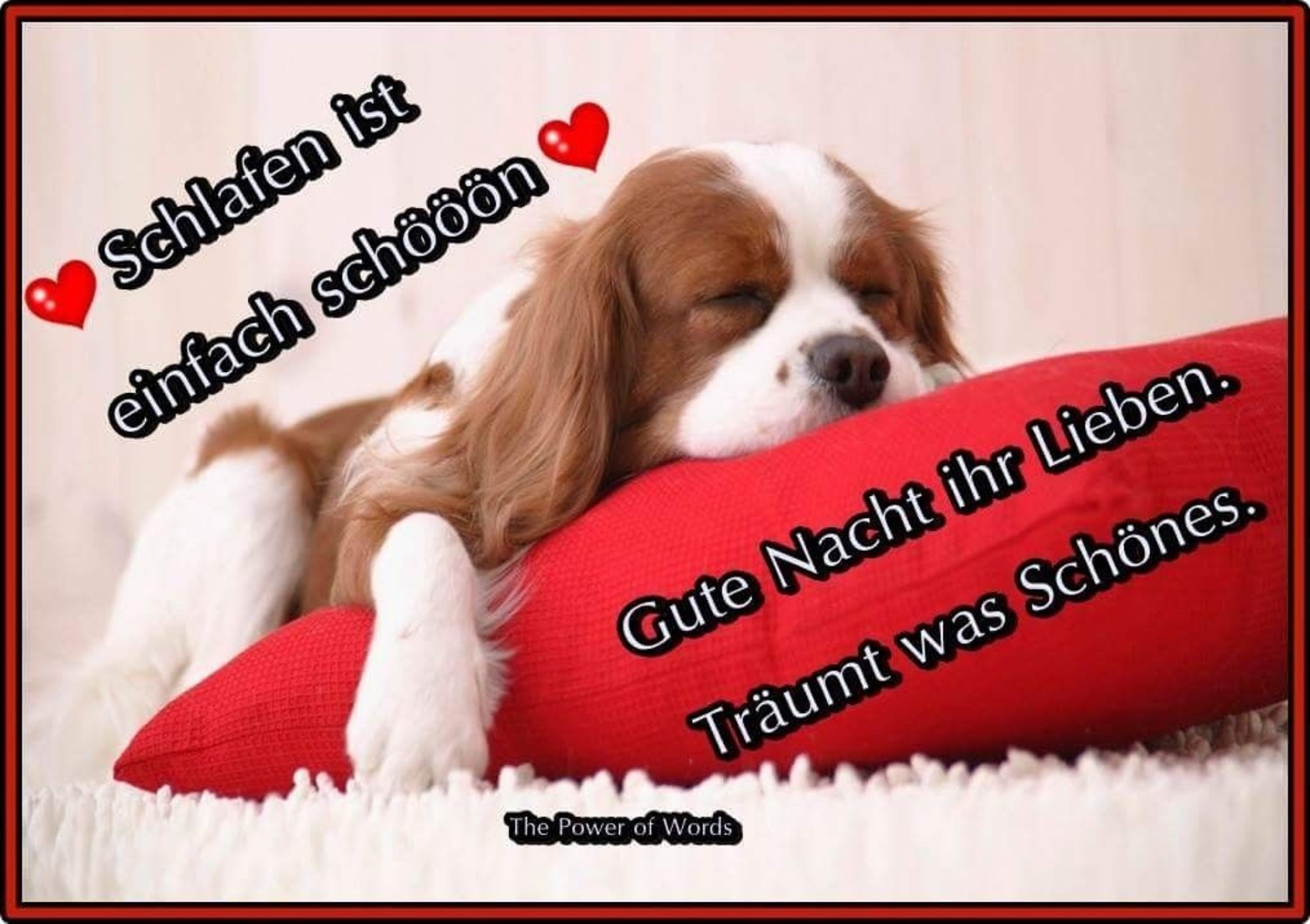 Gute Nacht WhatsApp 496