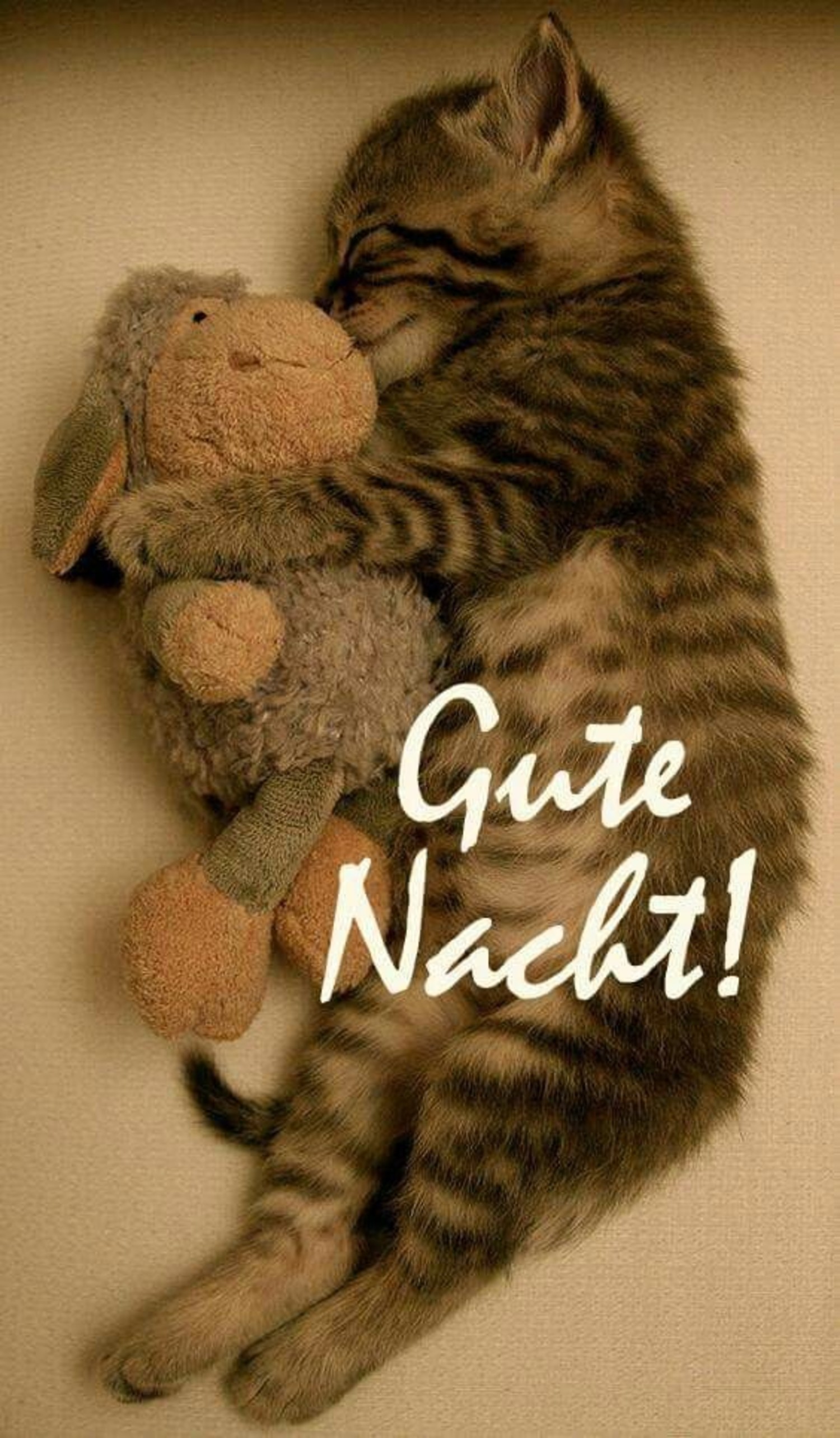 Gute Nacht An Alle Gb Pics Bilder Gbpicsbilder Com