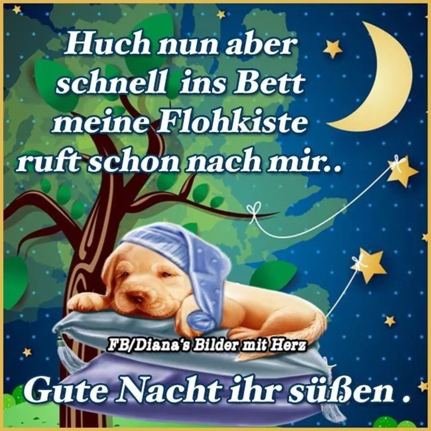 Gute Nacht bilder Facebook 454