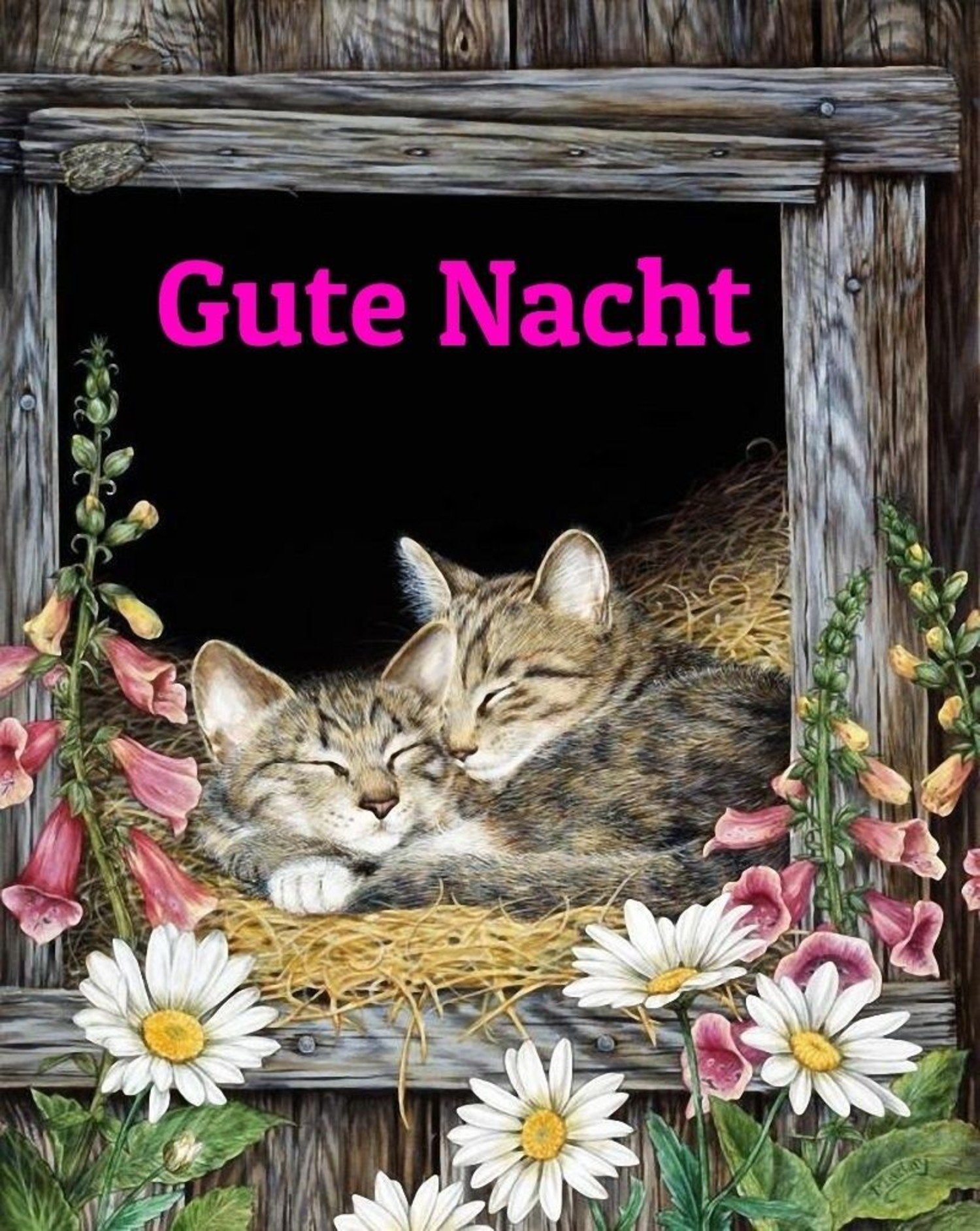 Gute Nacht bilder Google 307