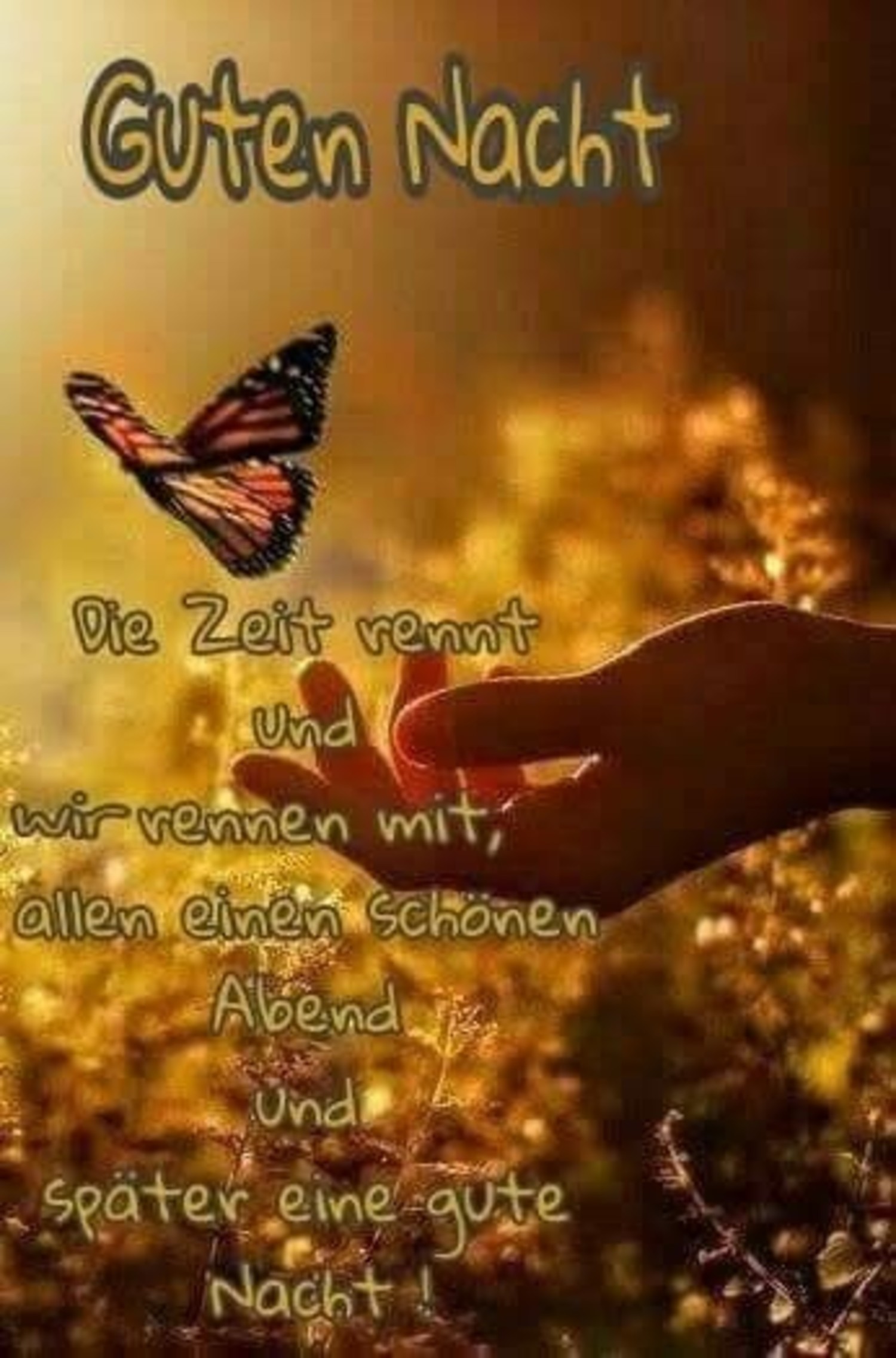 Gute Nacht bilder für WhatsApp gratis