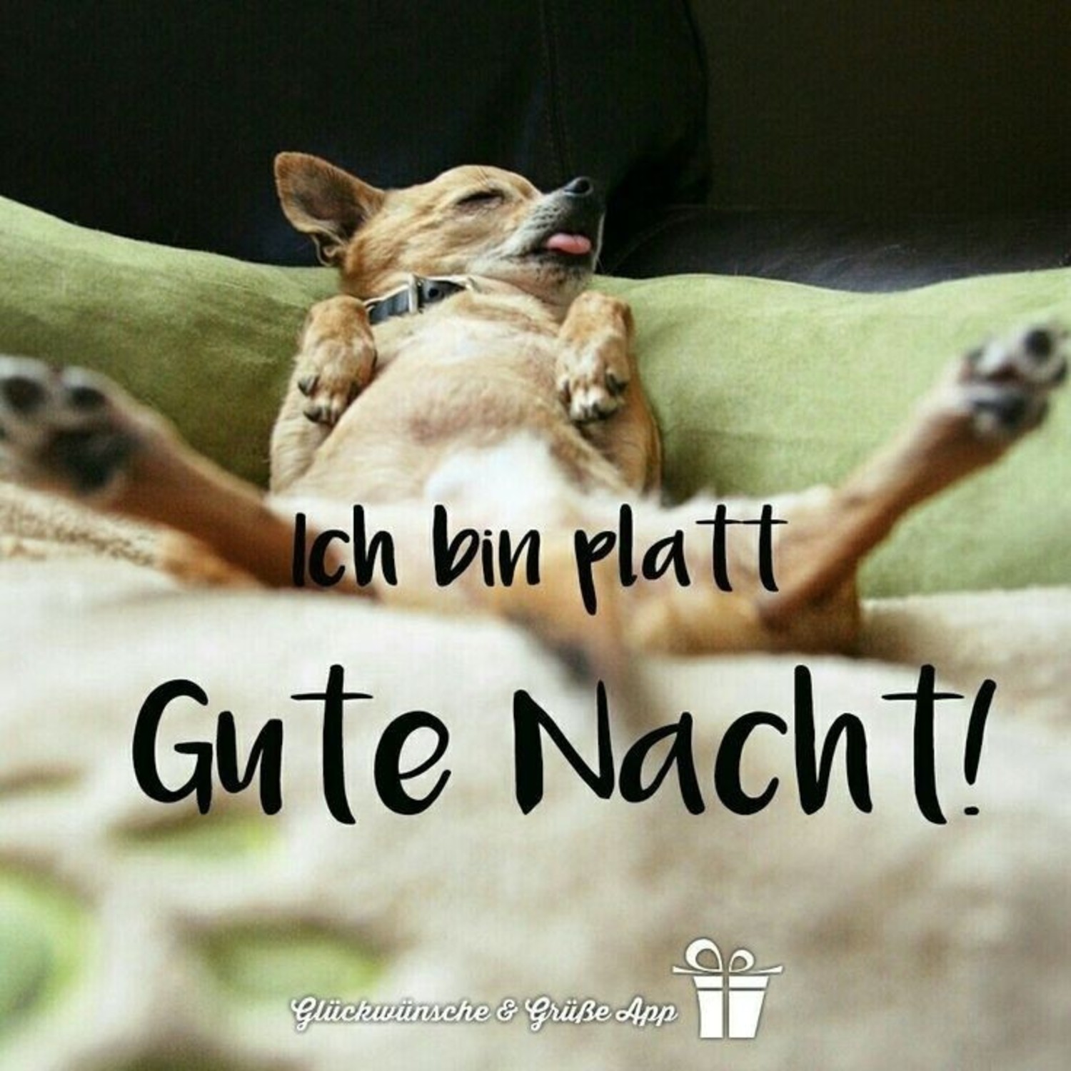 Gute Nacht bilder für WhatsApp 365