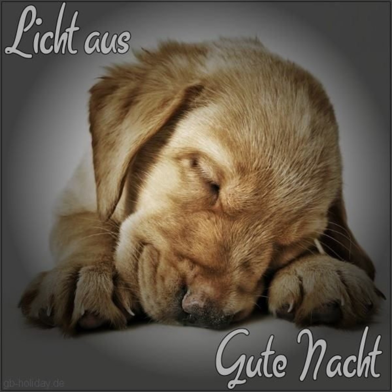 Gute Nacht bilder für WhatsApp gratis 394