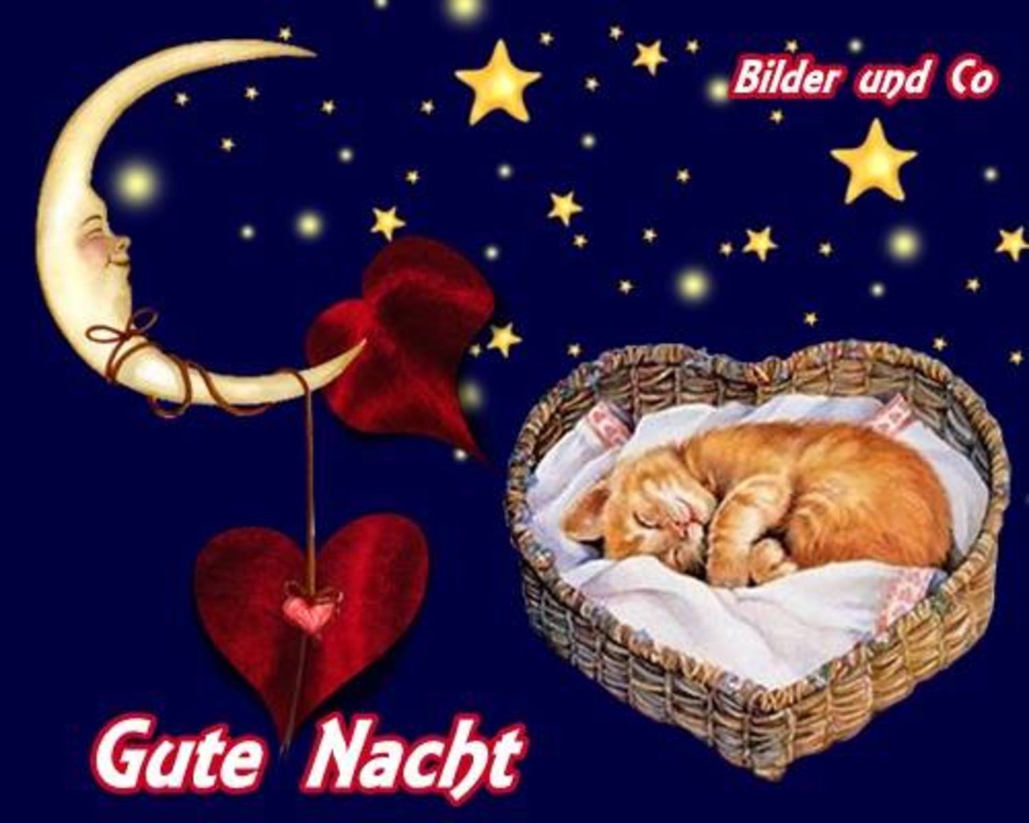 Gute Nacht bilder gratis. 