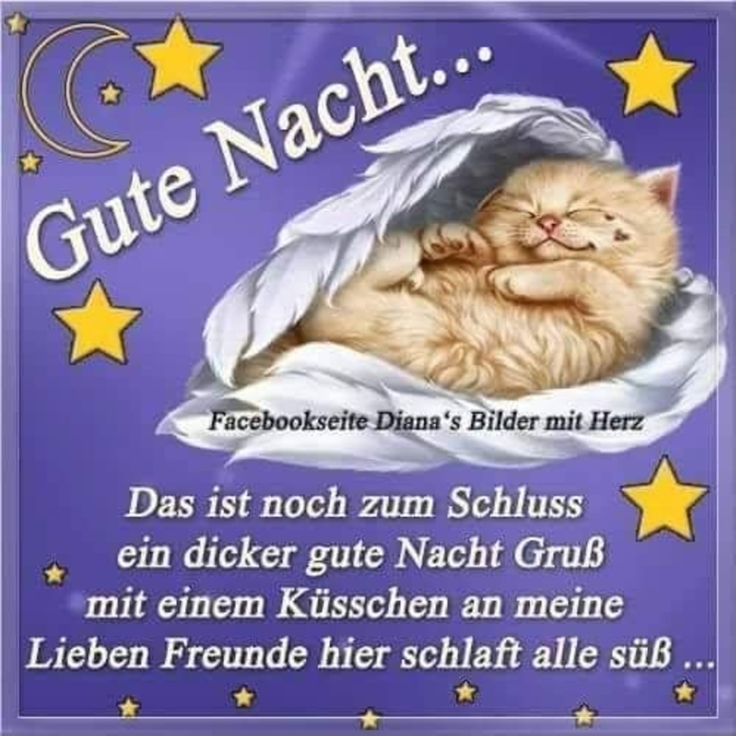 Nacht bildchen für whatsapp gute gute nacht