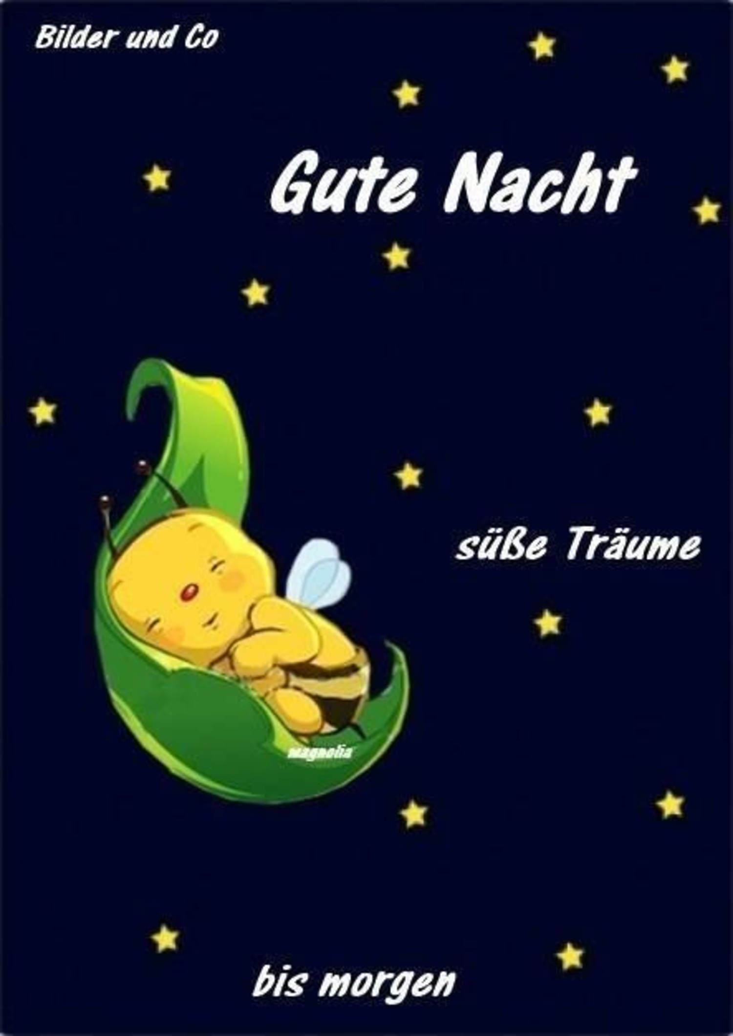 Gute Nacht coole sprüche 463