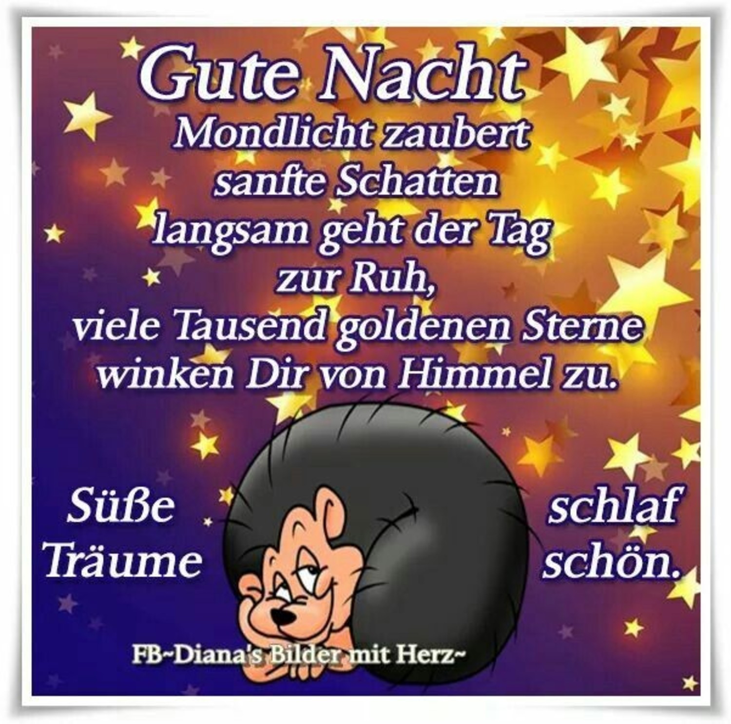 Gute Nacht jappy bilder 55