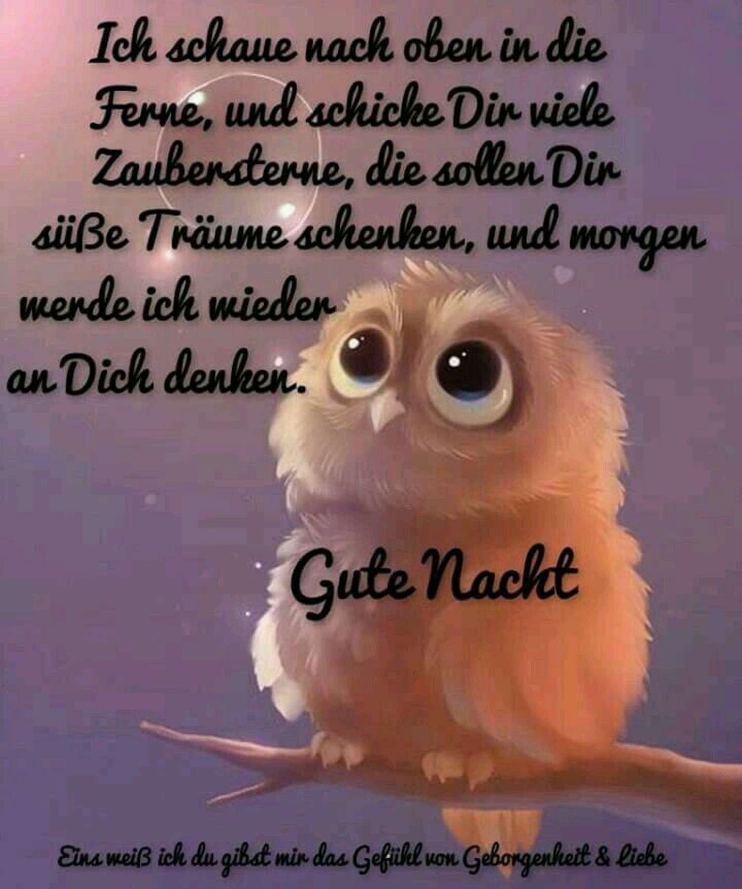 Gute Nacht jappy bilder 57