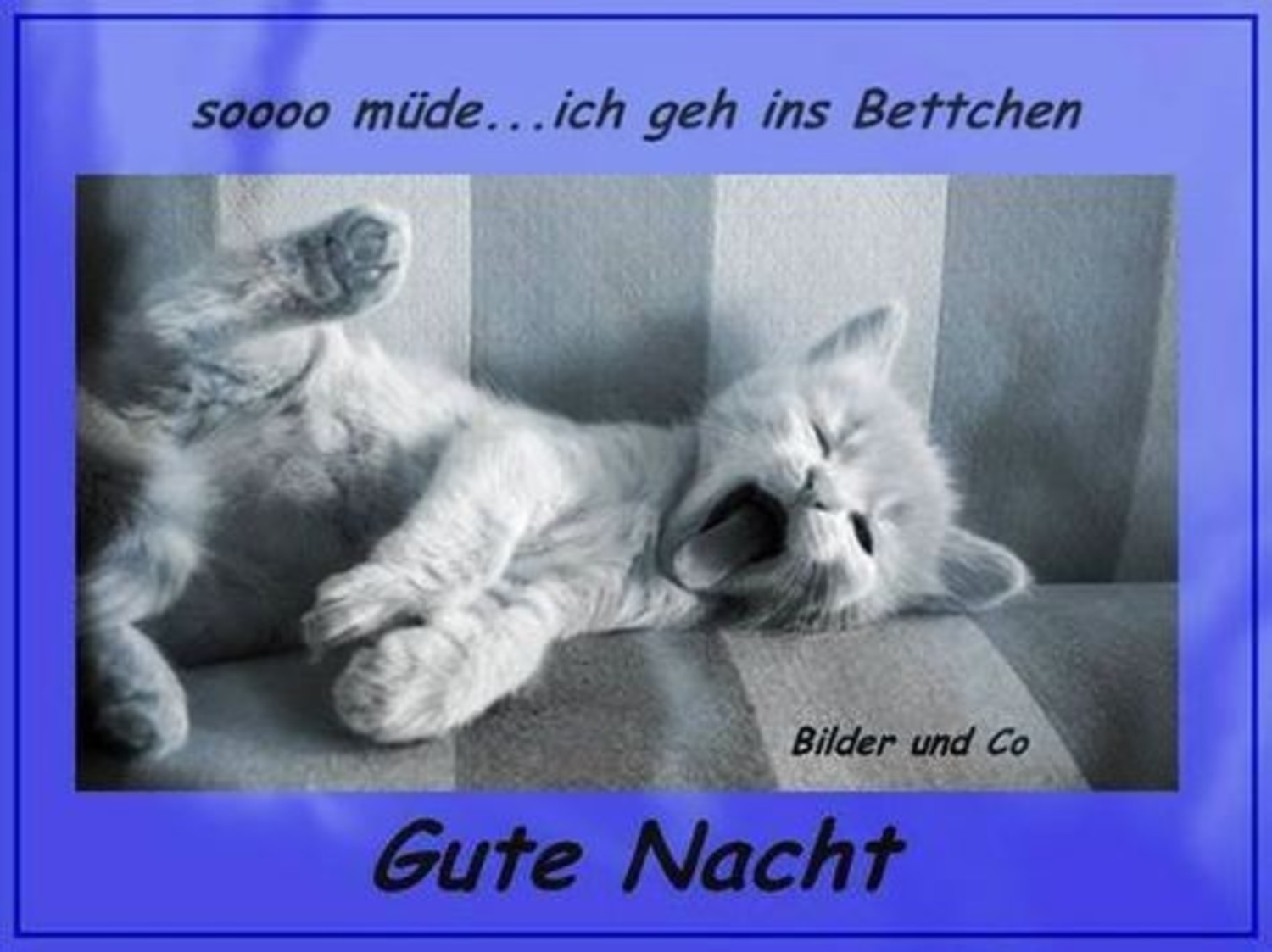 Gute Nacht lustig kostenlos GB Pics 321