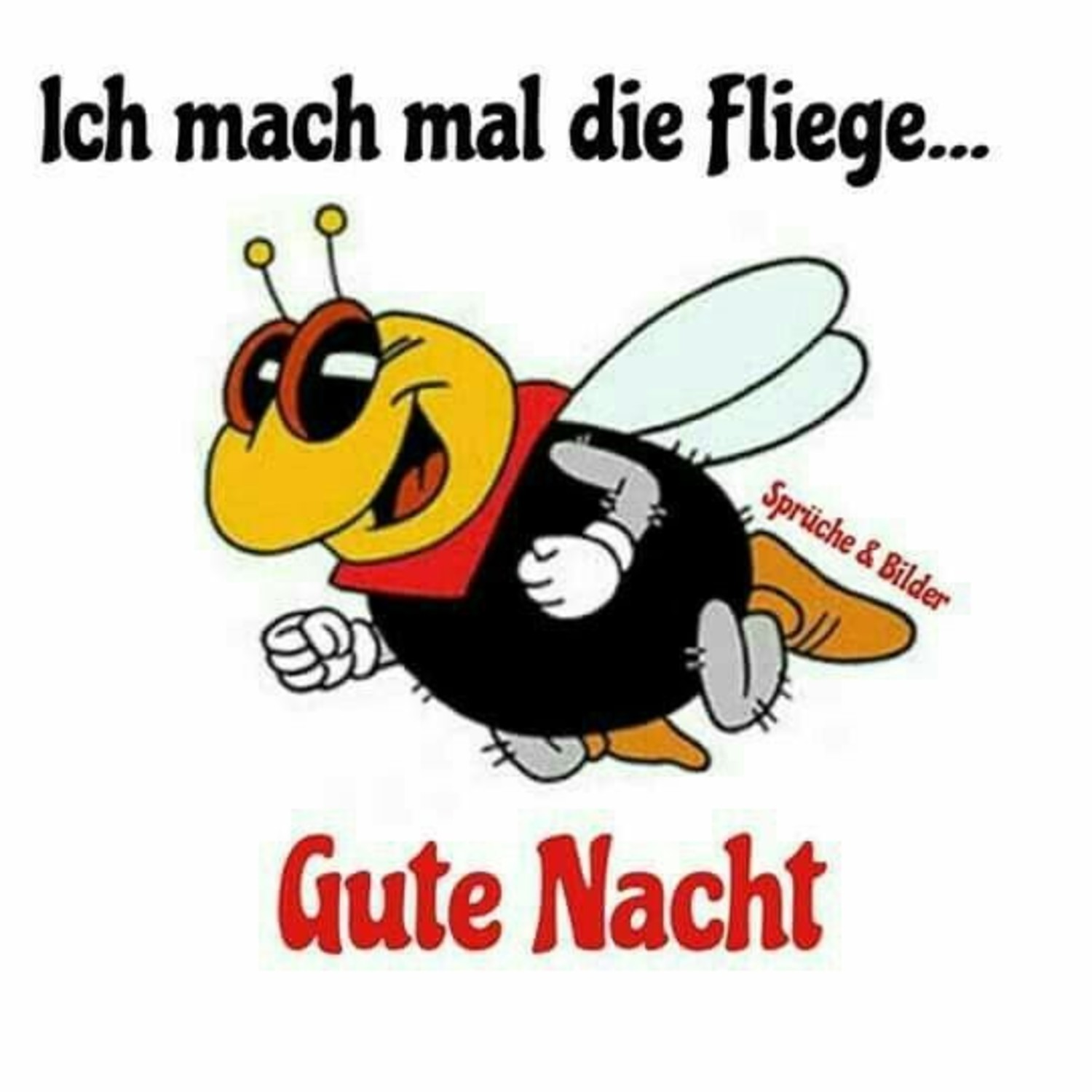 Gute Nacht sprüche 236