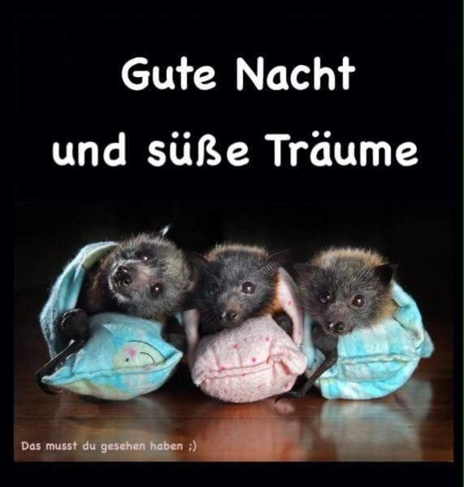 Gute Nacht und Süße Träume 144