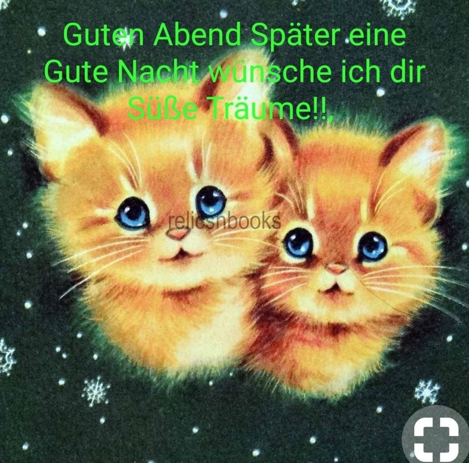 Gute Nacht und Süße Träume 246