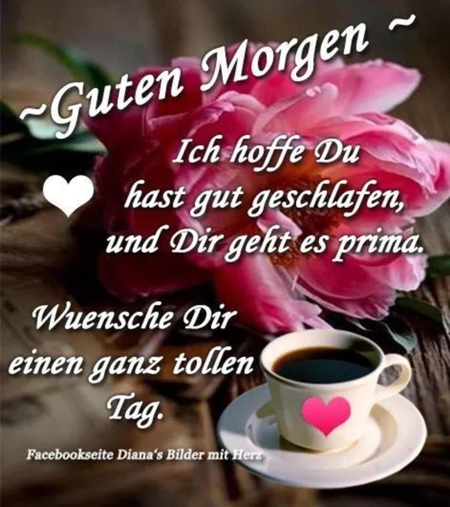 Guten Morgen 107