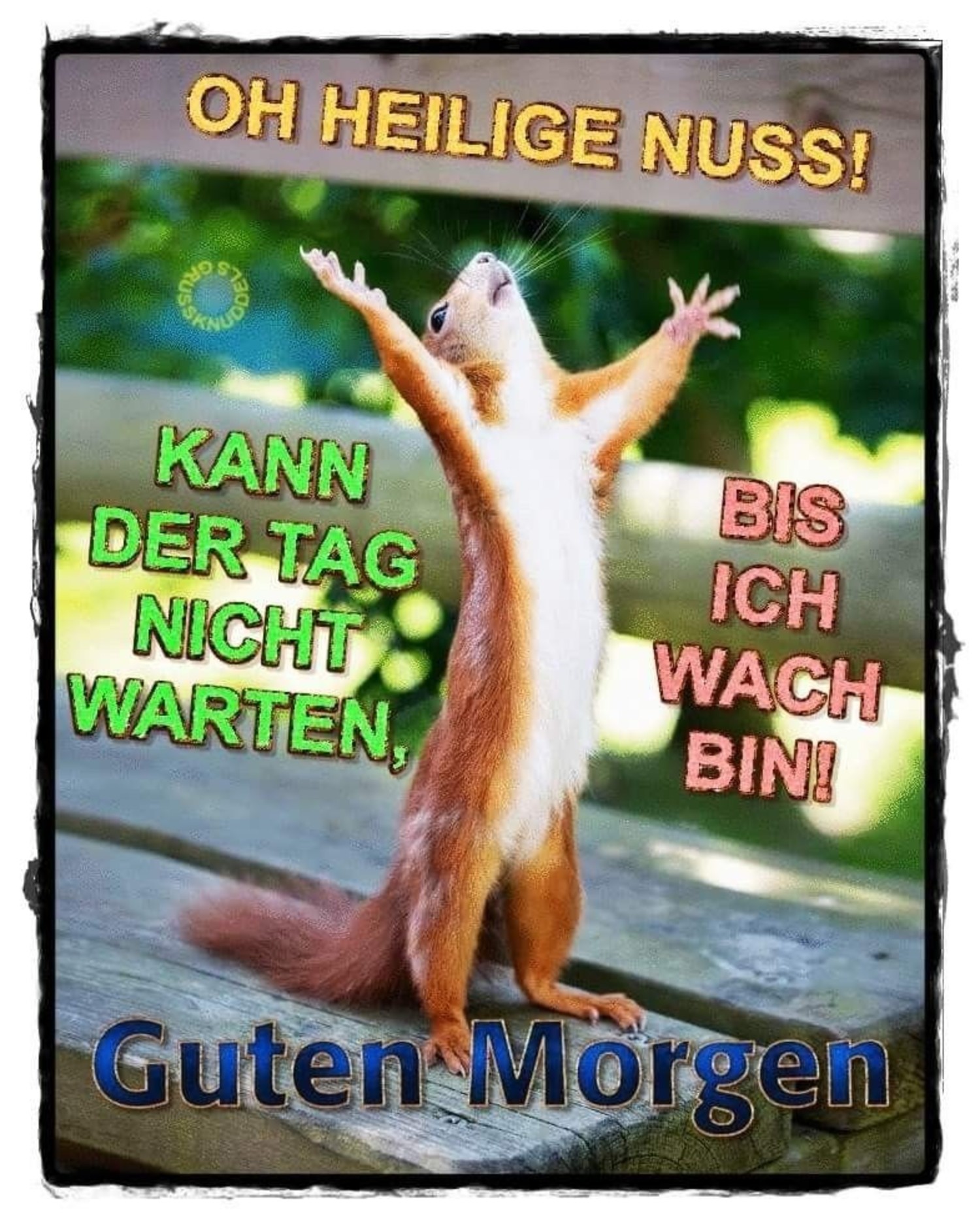 Guten Morgen 111