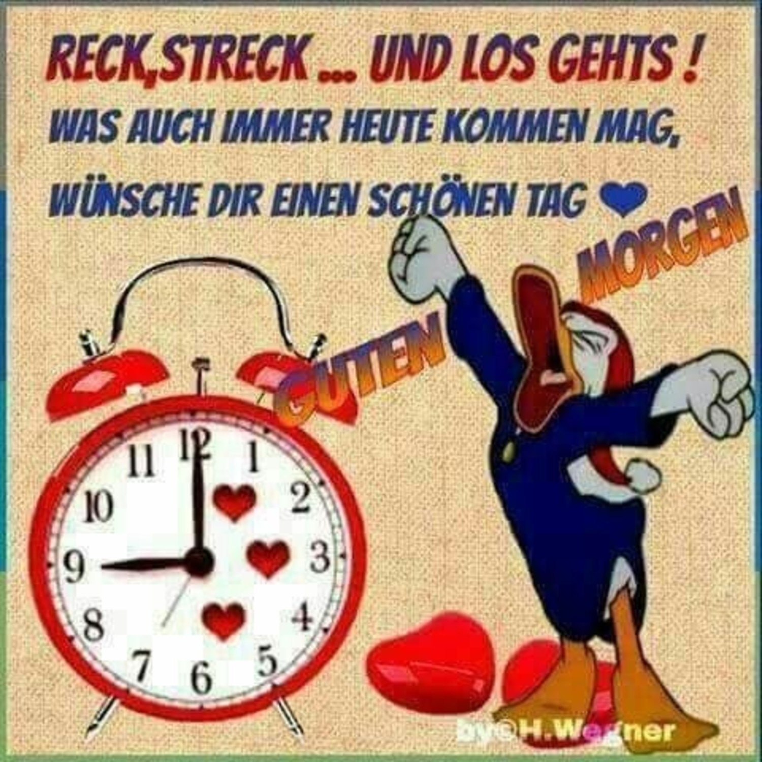 Guten Morgen 113