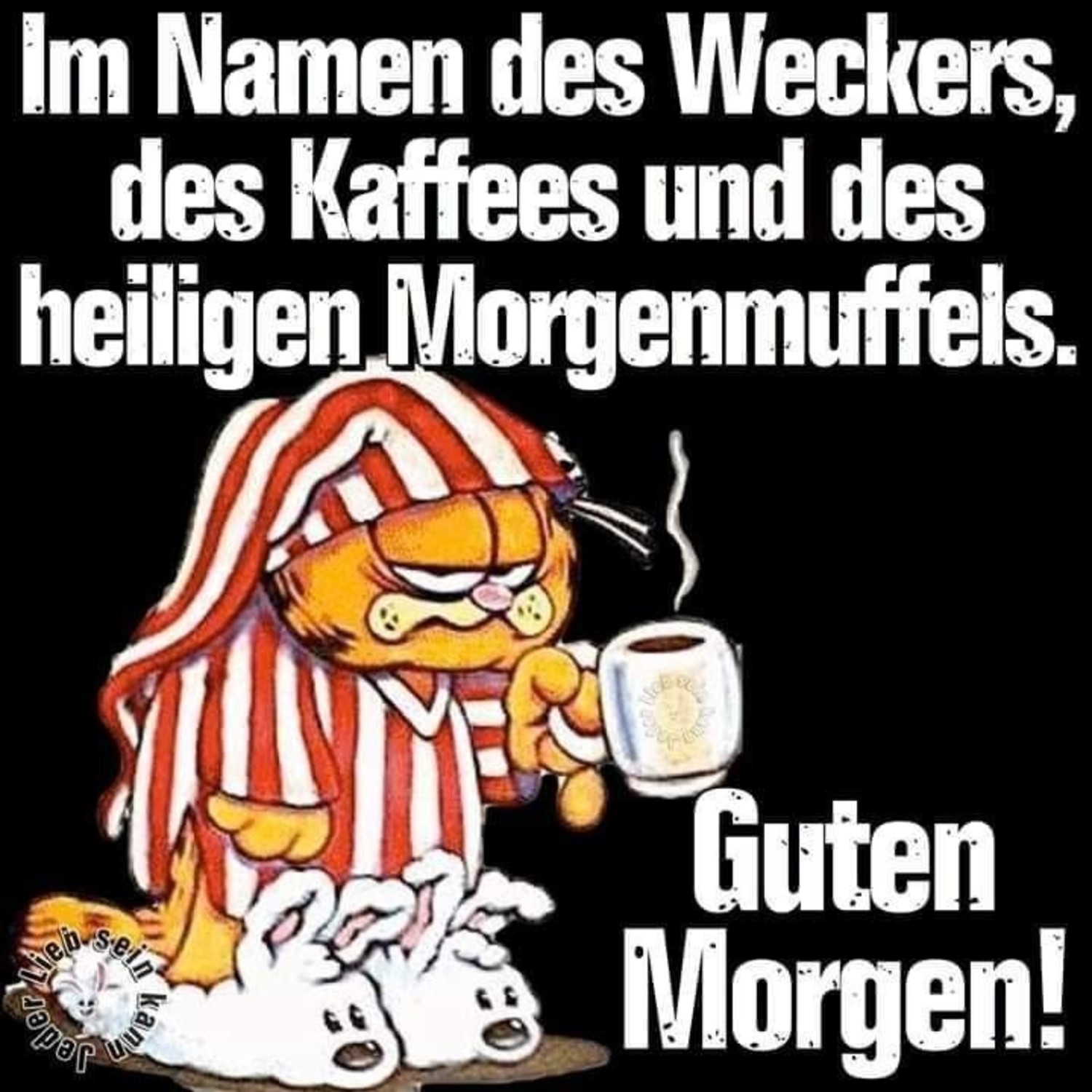 Guten Morgen Garfield 292