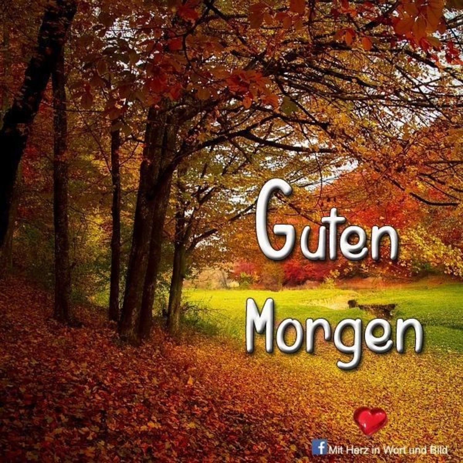 Guten Morgen Herbst 355