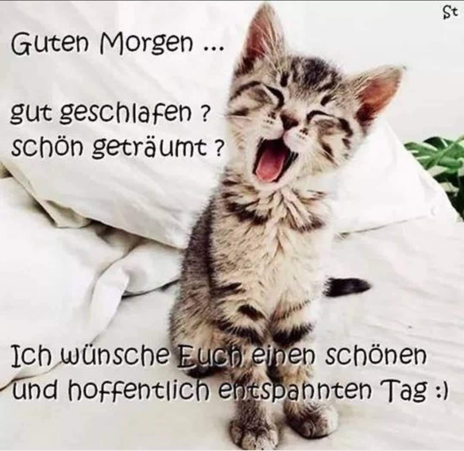 Guten Morgen allerseits 423