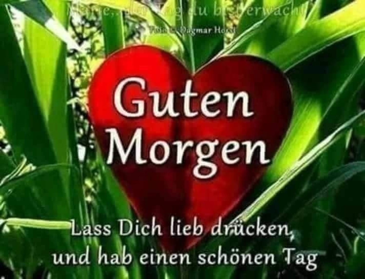 Guten Morgen allerseits 426