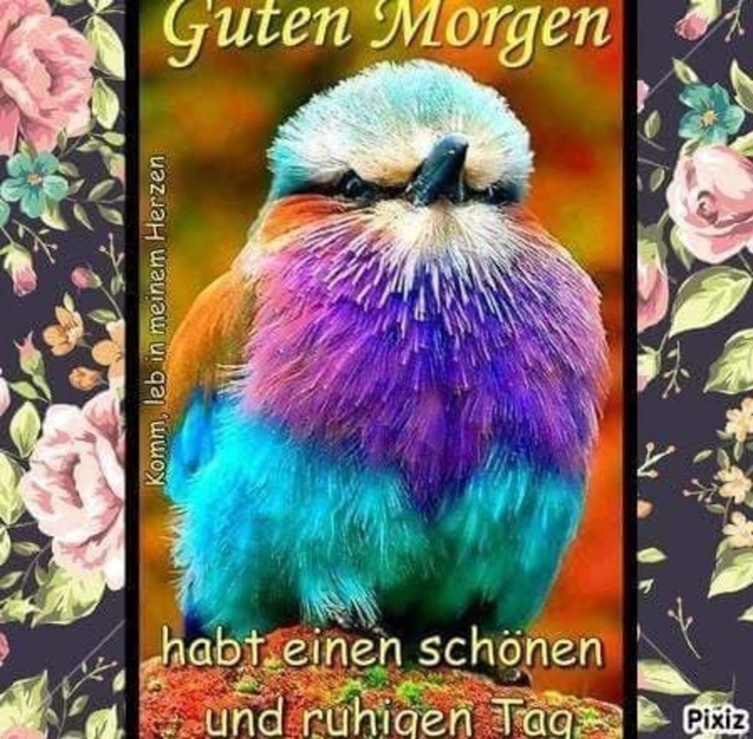 Guten Morgen an alle 412