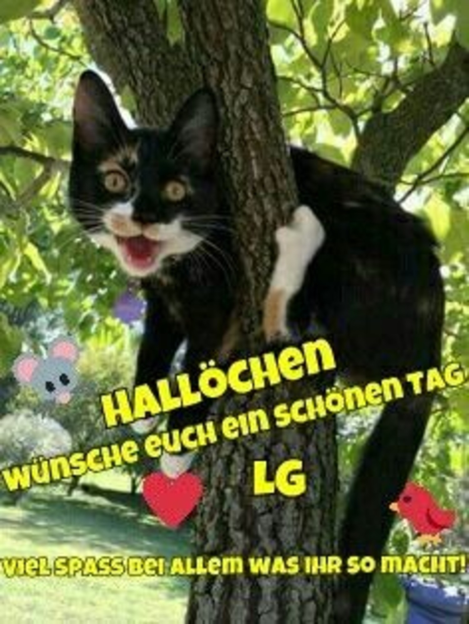 Guten Morgen bilder 184