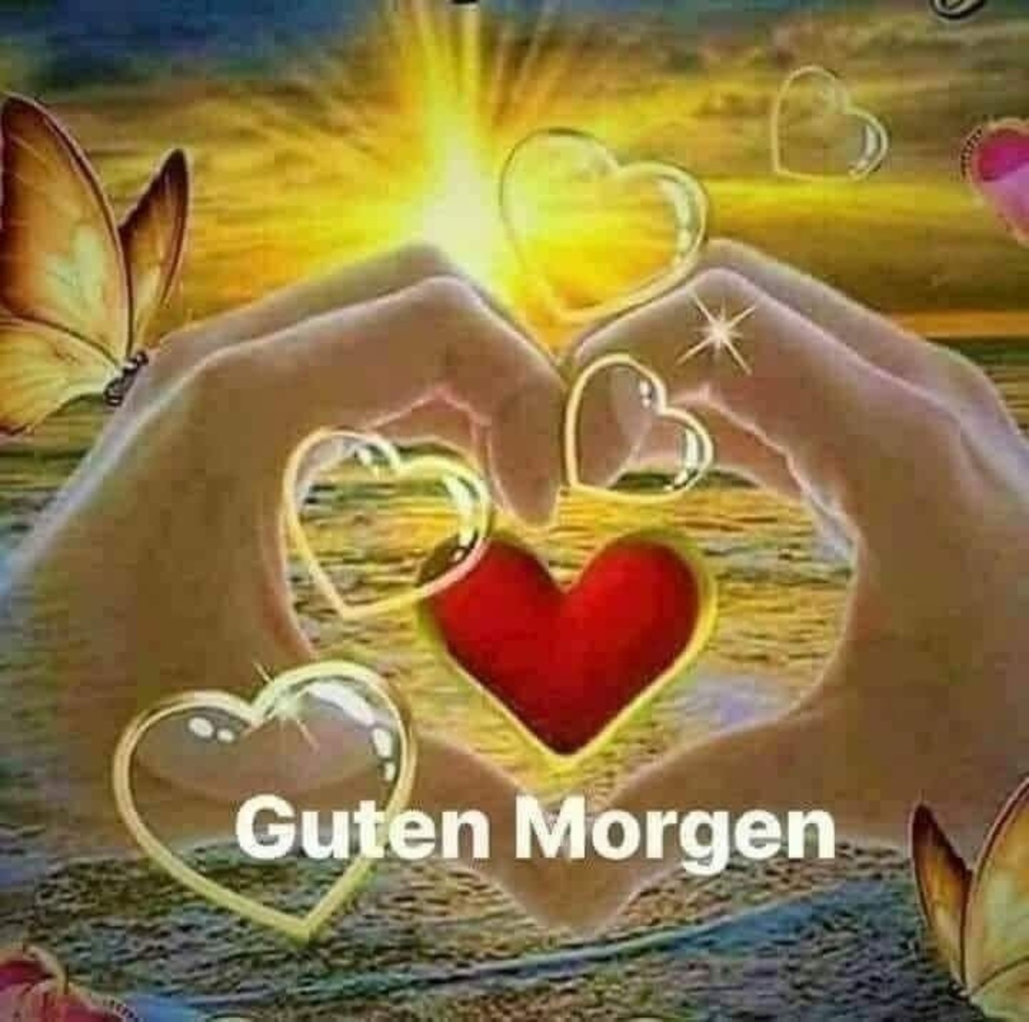 Beste für Mein Schatz Guten Morgen Bilder Fuer Whatsapp Kostenlos