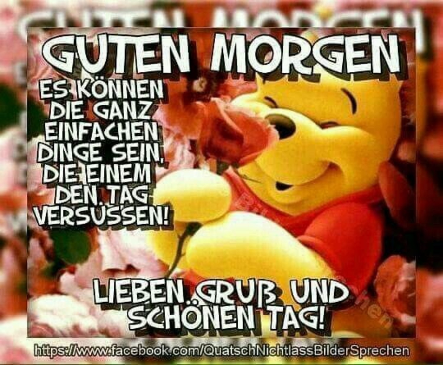 Schne Lustige Guten Morgen Bilder Fr Whatsapp Kostenlos Bild