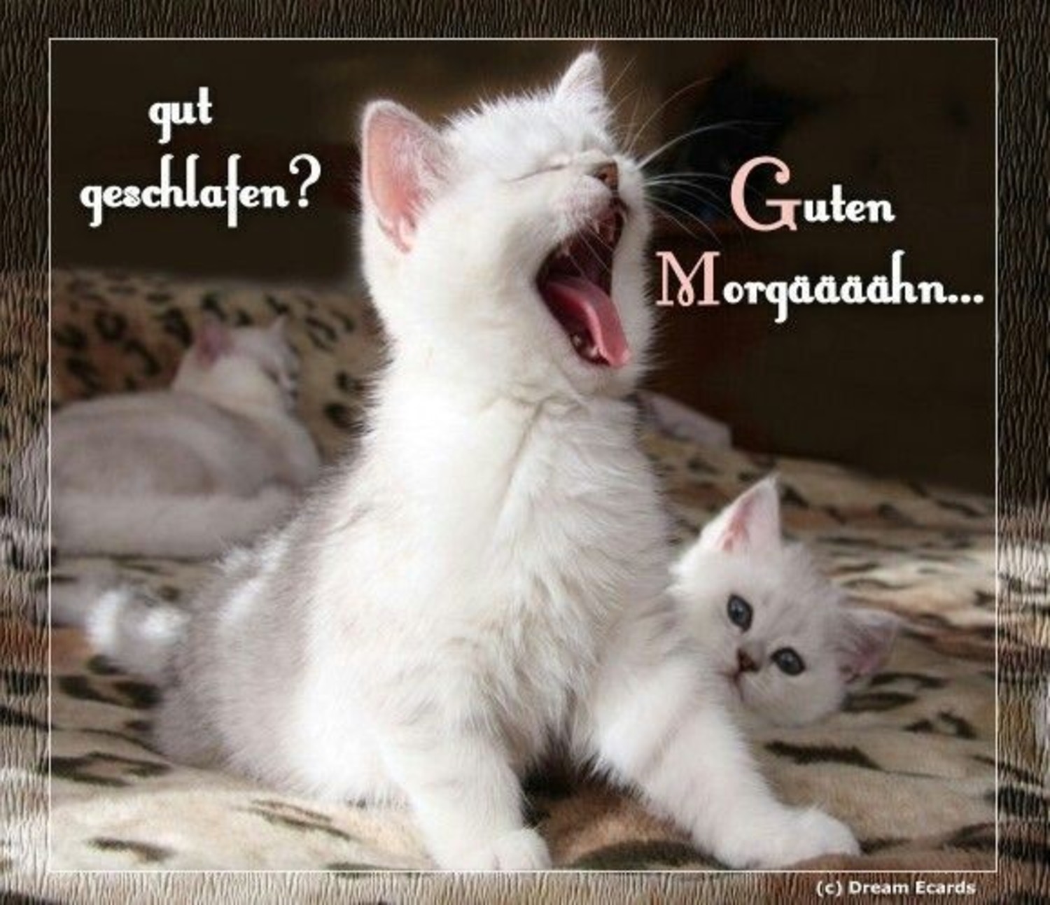 Guten Morgen bilder fürs handy 486 - GBPicsBilder.com Guten Morgen bilder fürs handy 486 - GBPicsBilder.com