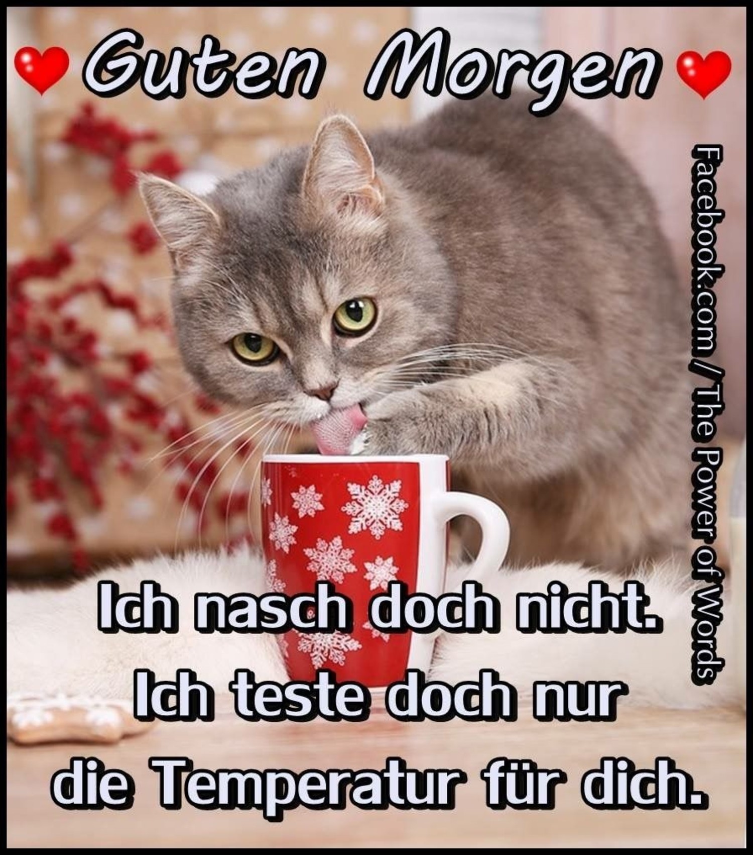 Whatsapp gute bilder morgen Guten Morgen