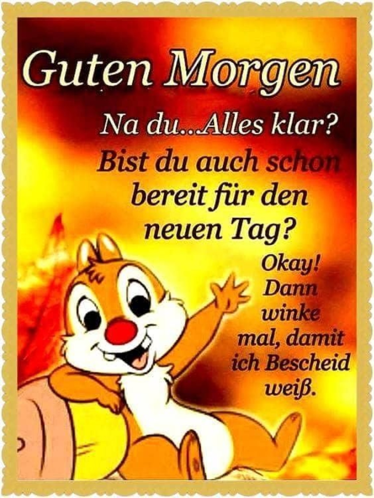 Guten Morgen bilder kostenlos 48