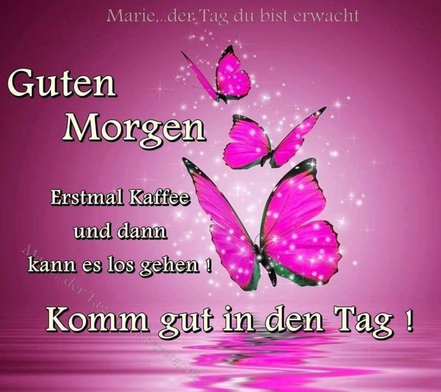 Guten Morgen bilder kostenlos Frühling 210