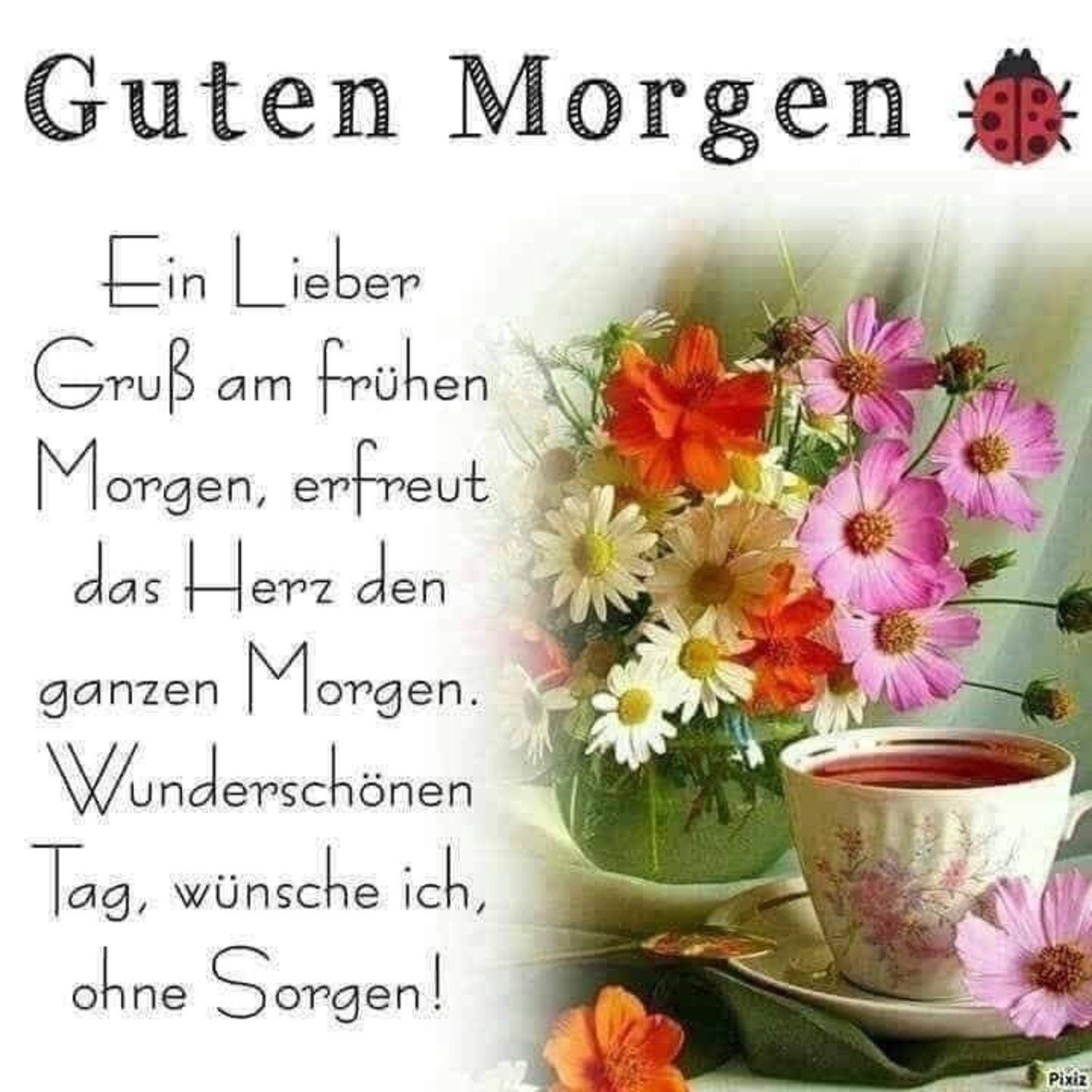 Guten Morgen Bild mit Spruch: Ein Weg, den Tag zu beginnen