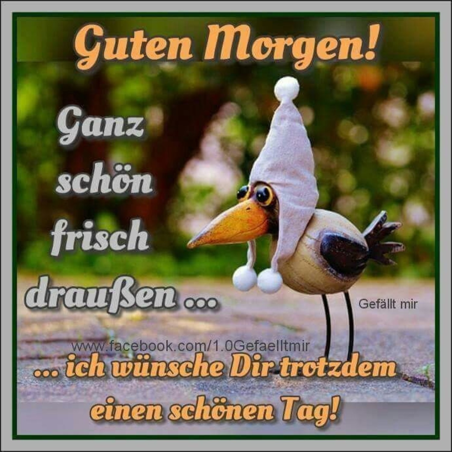 Guten Morgen freunde 450