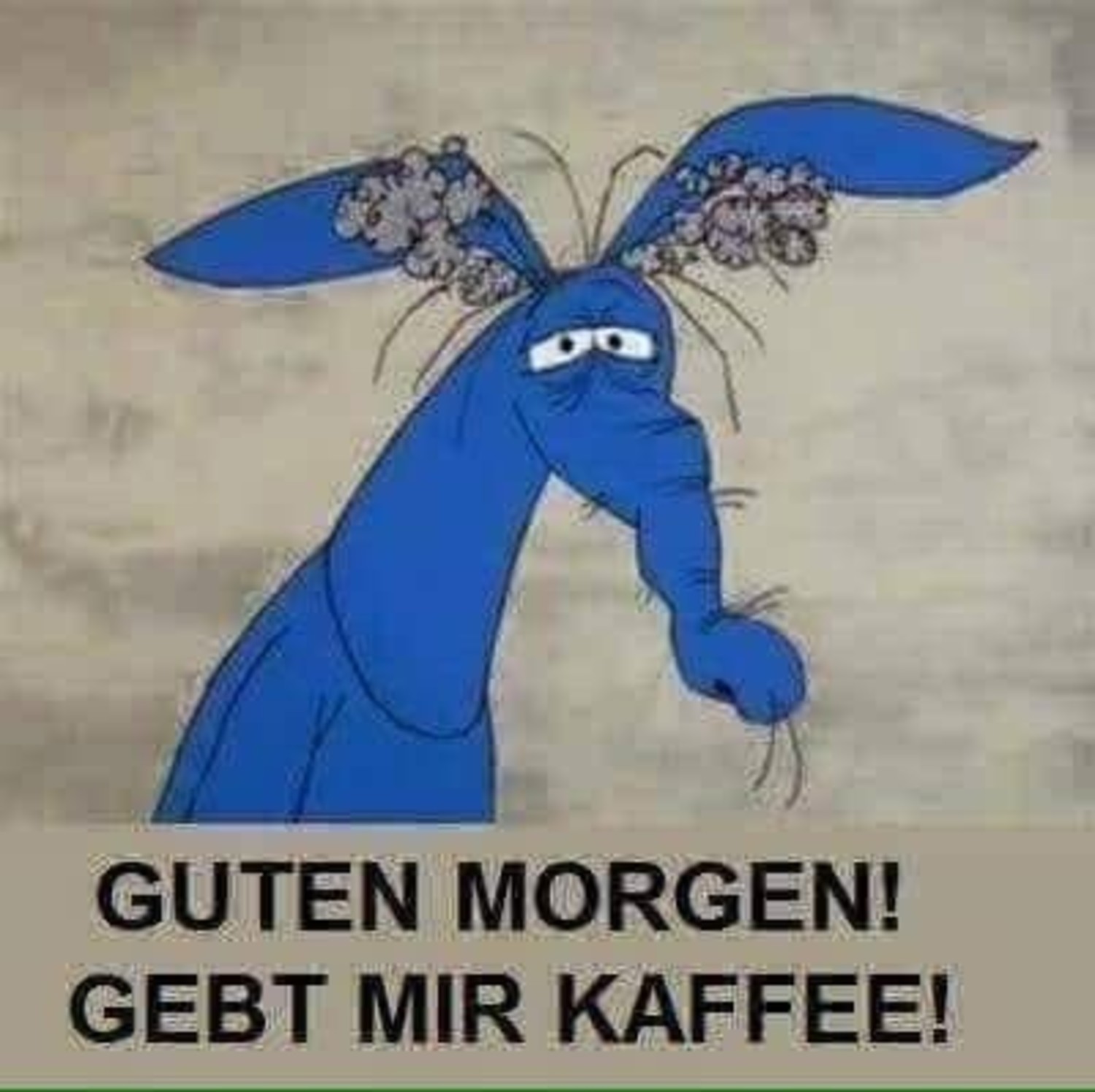 Guten Morgen gebt mir kaffee 20