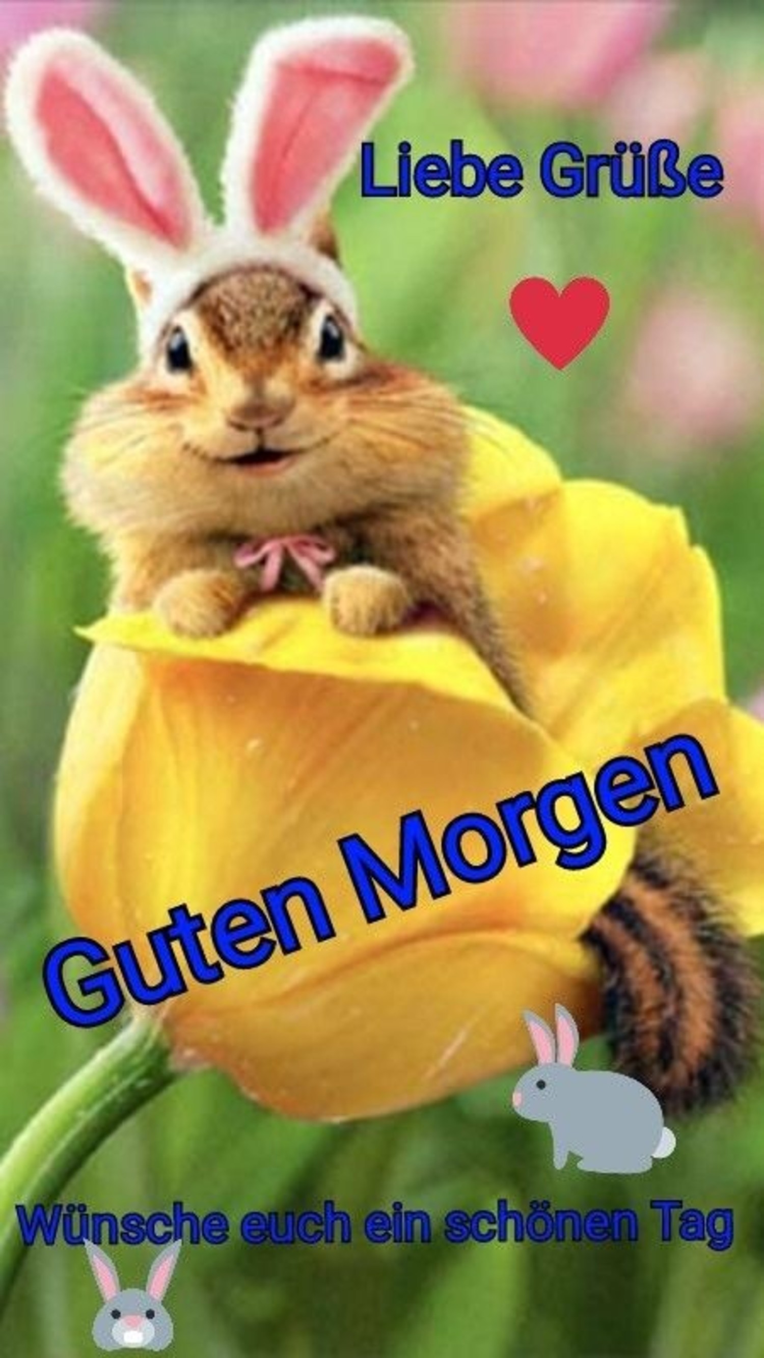 Guten Morgen guten morgen 46