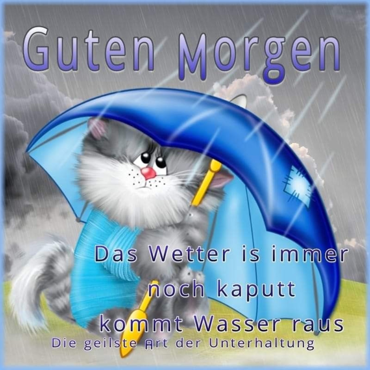 Guten Morgen regen bilder 348